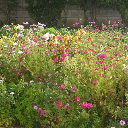 D'hote Fleur De Potager Les Sables-dʼOlonne