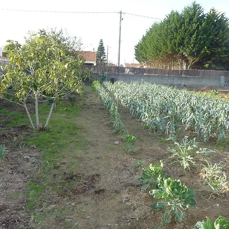 D'hote Fleur De Potager Bed & Breakfast