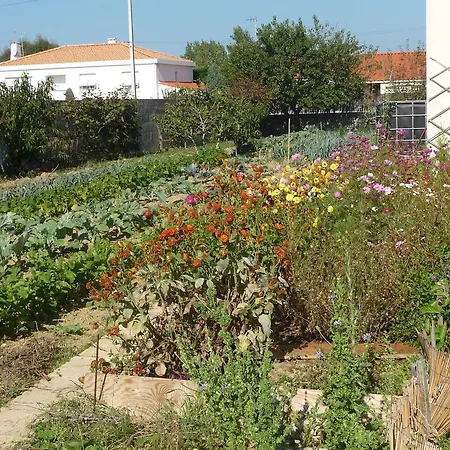 D'hote Fleur De Potager 3* Les Sables-dʼOlonne