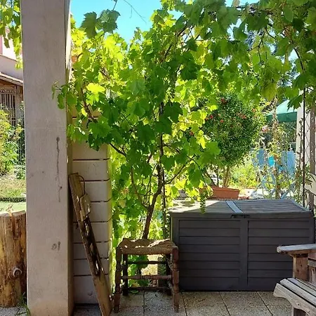 Bed & Breakfast D'hote Fleur De Potager