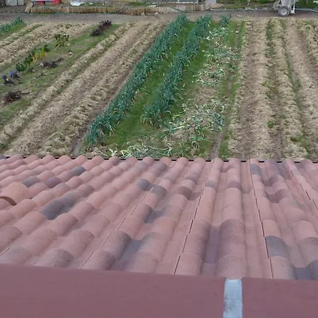 D'hote Fleur De Potager لي سابلِ دولونْ