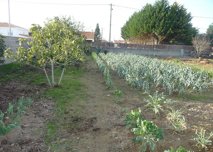 D'hote Fleur De Potager فندق مبيت وإفطار