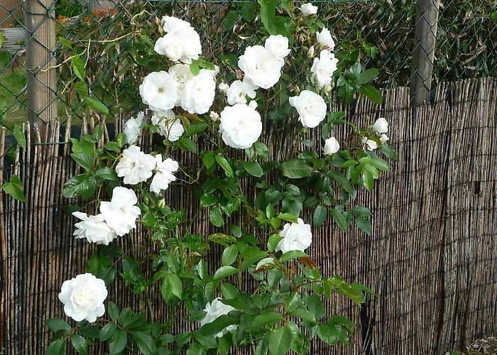 D'hote Fleur De Potager فندق مبيت وإفطار 3*