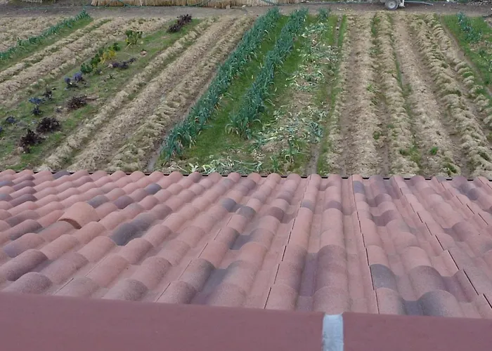 D'hote Fleur De Potager لي سابلِ دولونْ