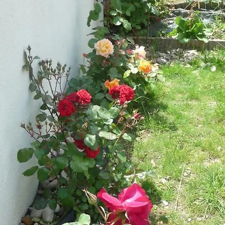 住宿加早餐酒店 波塔泽住宿加早餐酒店