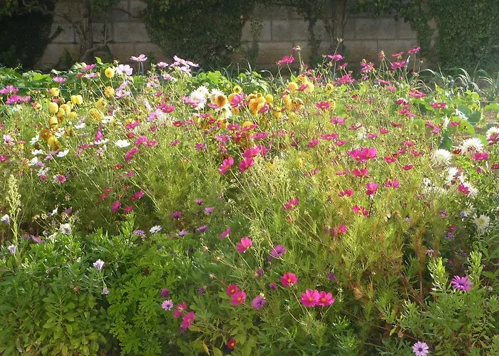D'hôte Fleur De Potager Les Sables-dʼOlonne