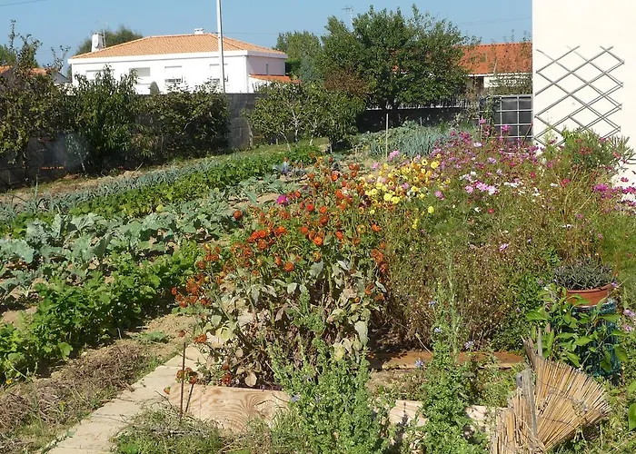 D'hote Fleur De Potager 3* Les Sables-dʼOlonne
