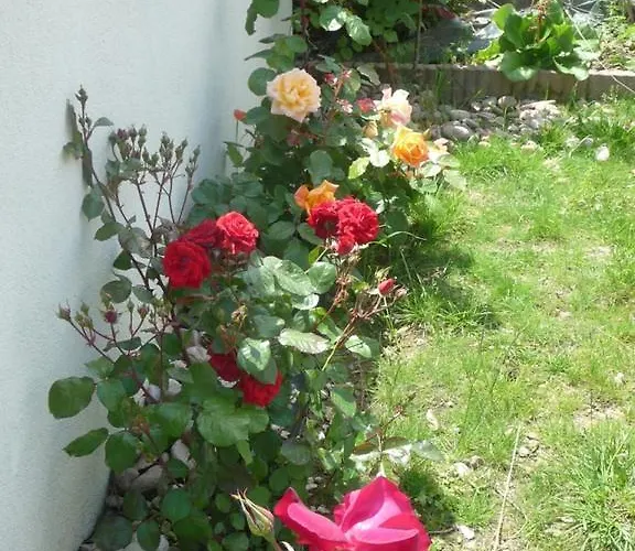 Bed & Breakfast D'hote Fleur De Potager